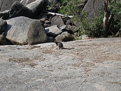 CairnsTC115 Granite Gorge